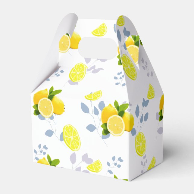 Ballotins Tropical Citrus été frais Orange lemon Slice (Verso)