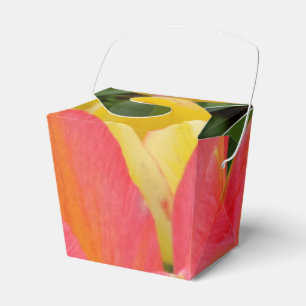 Ballotins Tulipe colorée Sortir Ballotin