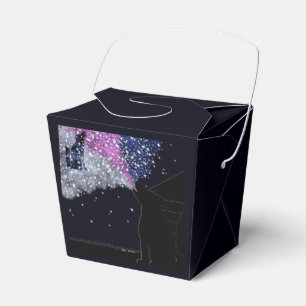 Ballotins Une Nuit d'Été avec Sirius Favor Box