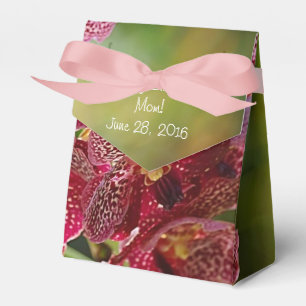 Ballotins Vanda Orchid Cluster Tente d'anniversaire
