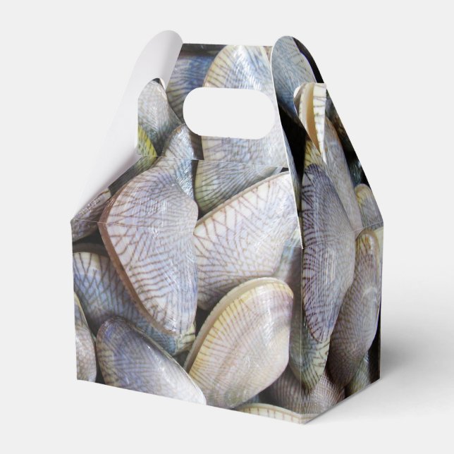 Ballotins Venus Clam [ห อ ย ล า ย] (Verso)