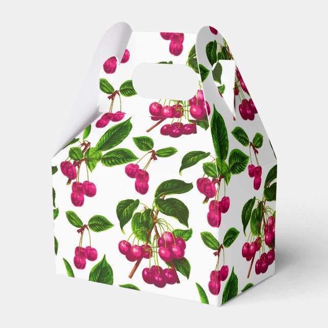 Ballotins Vintage Fuchsia Cerises roses Imprimer (Verso)