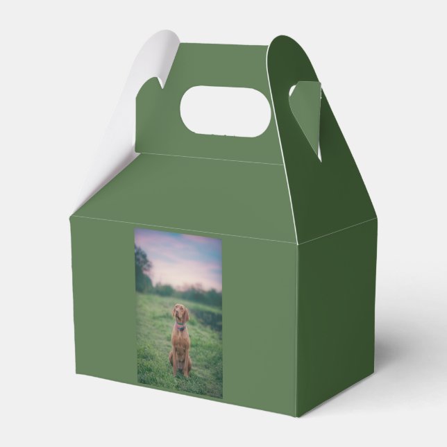 Ballotins vizsla assis (Verso)