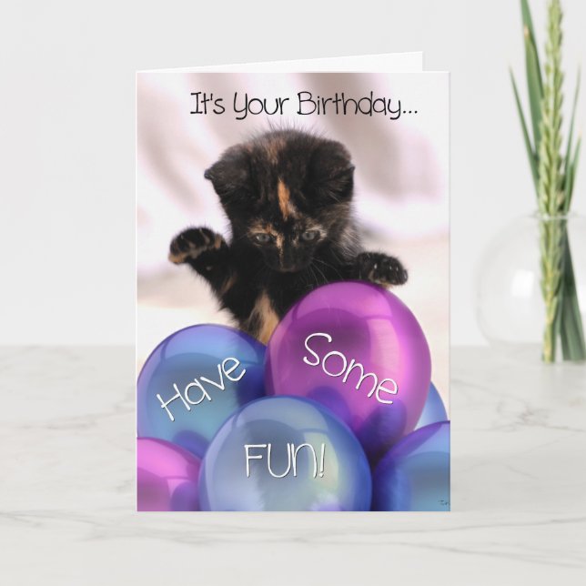 Ballotte Anniversaire : Funny Kitten Carte d'Anniv (Devant)