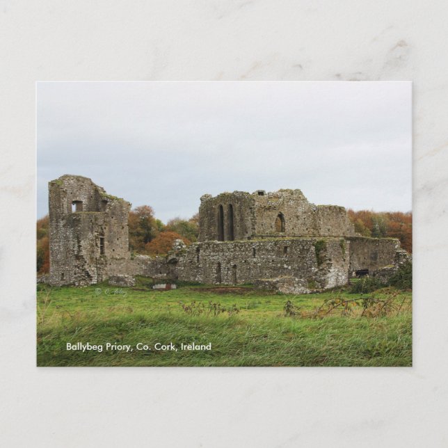 Ballybeg Priory, Irlande Carte postale (Devant)