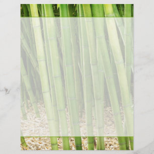 Bambou vert