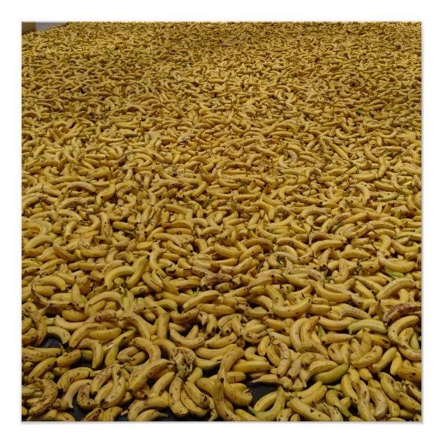 Banana Republic 20" x 20", Poster Paper, Semi-Glos (Devant)