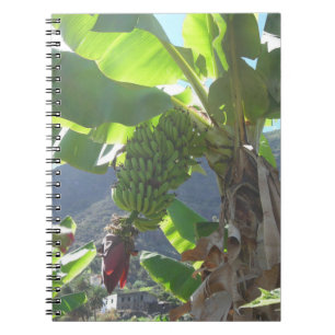 Bananier avec Carnet à fleurs