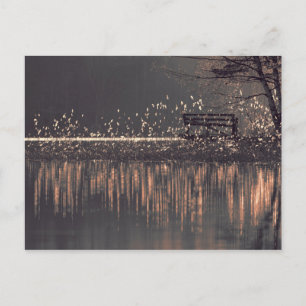 Banc au bord du lac dans la carte postale de lumiè