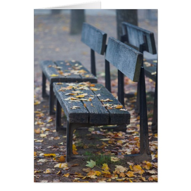 Banc de parc brumeux matin, Allemagne (Devant)