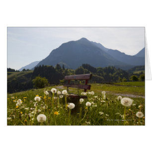 Banc de parc en zone rurale