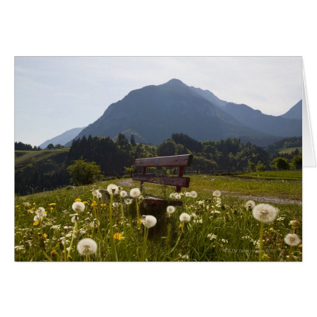 Banc de parc en zone rurale (Devant horizontal)