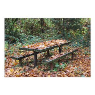 Banc de pique-nique 19" x 13" Photo agrandissement