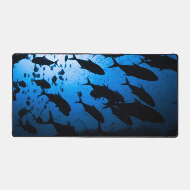 Banc de poissons en plongée (Recto)