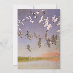 Banc d'ibis volant au-dessus des zones humides, oi