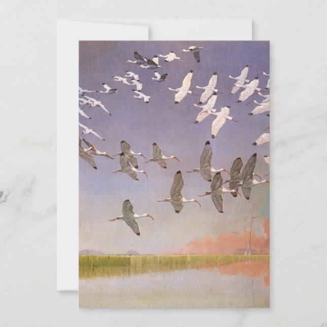Banc d'ibis volant au-dessus des zones humides, oi (Devant)