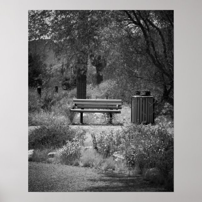 Banc du parc noir et blanc 16x20 Poster Imprimer (Devant)