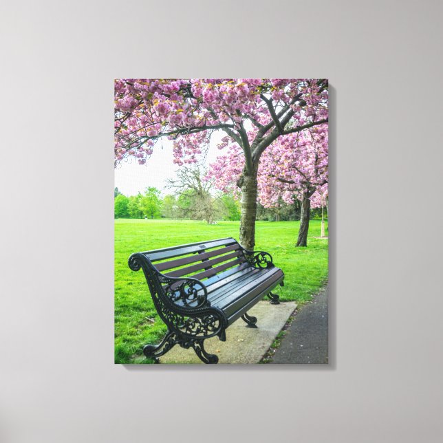 Banc et cerisier en fleurs vue toile (Recto)