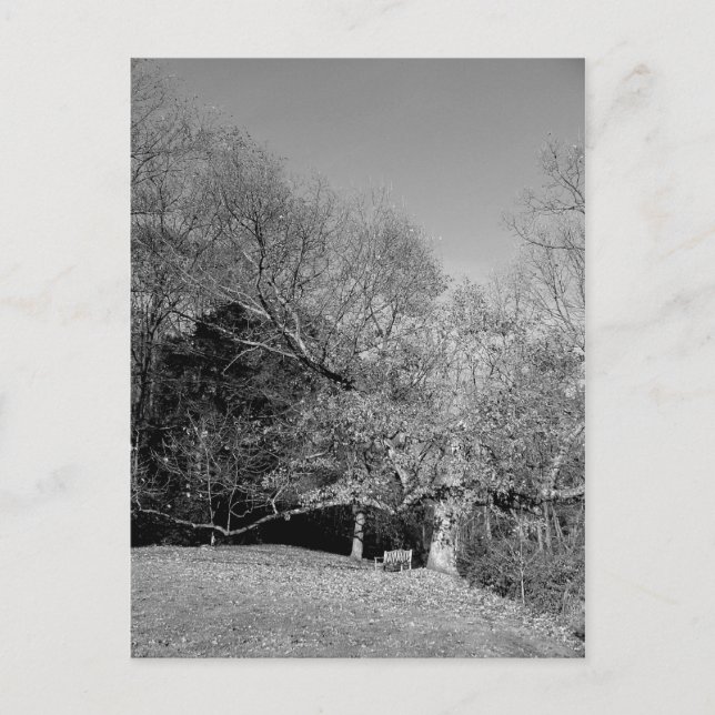 Banc sous trois cartes postales (Devant)