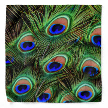 Affichage en plumes de paquetage
