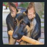 Bandana berger allemand par Shirley Taylor<br><div class="desc">Bandana berger allemand. Cliquez sur le bouton personnaliser pour ajouter votre texte. L'image peut être pivotée ou redimensionnée.</div>