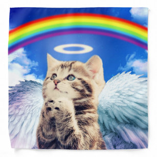 Vetements Accessoires Chaton Animaux Pour Animaux De Compagnie Zazzle Fr Vetements Accessoires Chaton Animaux Pour Animaux De Compagnie Zazzle Fr