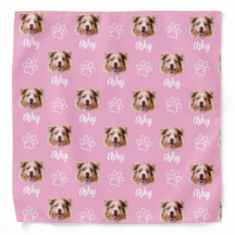 Custom Dog Photo