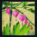 Bandana Fleur de Lamprocapnos, coeur asiatique saignant<br><div class="desc">2025</div>