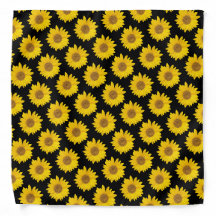 Fleurs de soleil jaune vif sur Arrière - plan noir