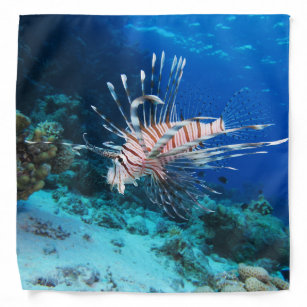 Bandana Loinfish est eau salée Océan Faune Reef Poisson