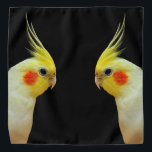 Bandana Lutino Cockatiel<br><div class="desc">Lutino Cockatiel</div>