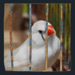 Bandana Oiseau blanc Zèbre Finch en cage<br><div class="desc">2025</div>