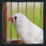 Bandana Oiseau blanc Zèbre Finch en cage<br><div class="desc">En portant ce bandana, vous express non seulement votre style unique, mais vous sensibilisez également à l'importance du bien-être animal et à la nécessité de protéger leurs habitats naturels. Idéal pour les amateurs d'oiseaux et les défenseurs des droits des animaux, ce bandana est un ajout significatif à votre collection d'accessoires,...</div>