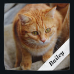Bandana Pet Chien Chat Modèle photo personnalisé<br><div class="desc">Cette conception peut être personnalisée dans la zone fournie en modifiant la photo et/ou le texte. Vous pouvez également le customiser en choisissant l'option cliquer pour customiser une autre option et supprimer ou modifier la couleur, l'arrière - plan, ajouter du texte, modifier la couleur ou le style du texte, ou...</div>