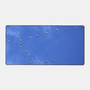 Bande d'oiseaux