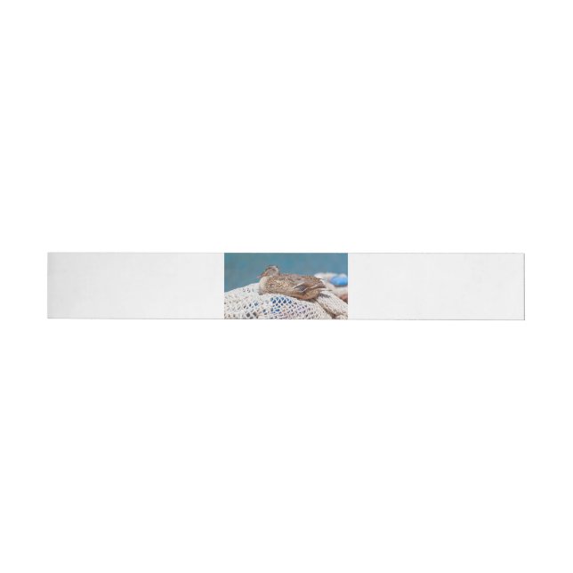 Bande Pour Adresse Canard de repos (Individual)