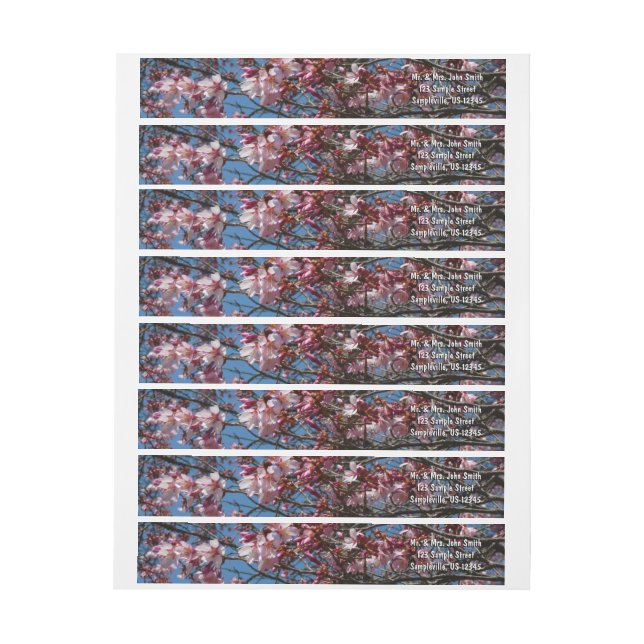 Bande Pour Adresse De Retour Cherry Blossoms et Blue Sky Spring Floral (Feuille)