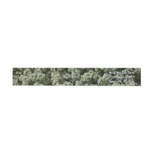 Bande Pour Adresse De Retour Fleurs d'Alyssum doux Floral blanc