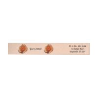 Peach Rose Orange Floral Photographie