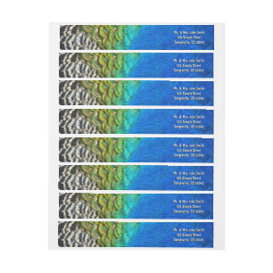 Bande Pour Adresse De Retour Peacock Feathers IV Colorful Abstrait Nature