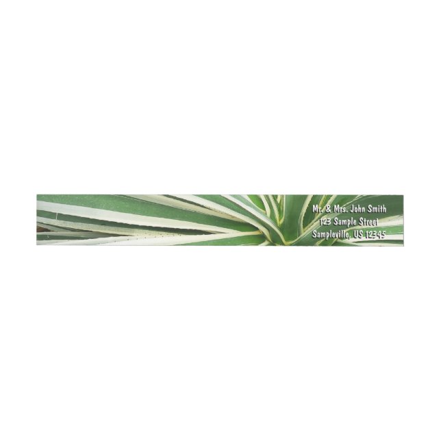 Bande Pour Adresse De Retour Plante Agave Vert et blanc rayé (Individuel)