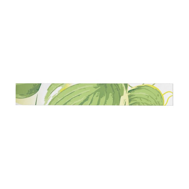 Bande Pour Adresse De Retour Plante de ficus 2 (Individuel)