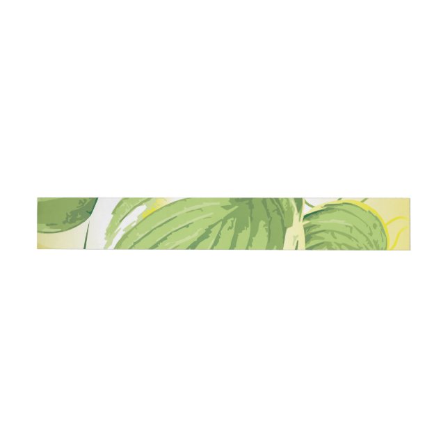 Bande Pour Adresse De Retour Plante de ficus 4 (Individuel)