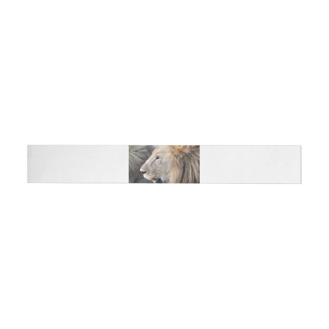 Bande Pour Adresse De Retour Portrait de Lion (Individuel)
