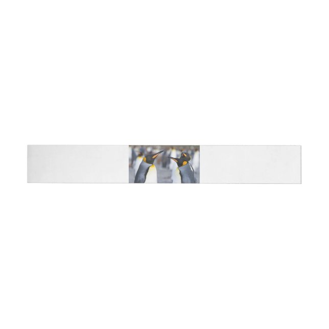 Bande Pour Adresse De Retour Roi Pingouin (Individuel)