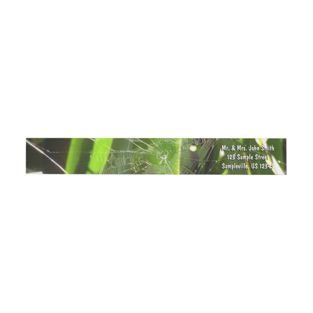 Bande Pour Adresse De Retour Spiderweb dans Tropical Leaves Nature (Individuel)