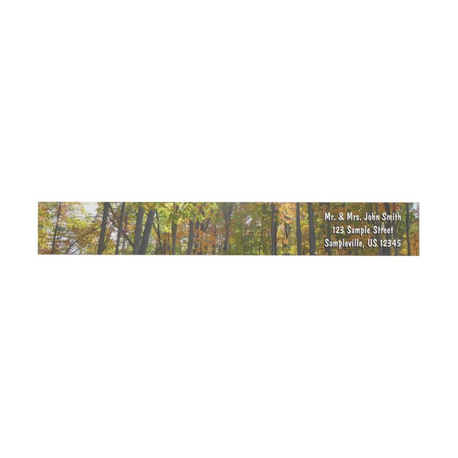 Bande Pour Adresse De Retour Sunlit Fall Forest Paysage d'automne (Individuel)