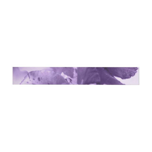 Bande Pour Adresse De Retour Violettes monochromes (Individuel)