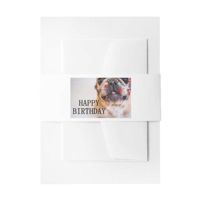 Bandeau De Faire-part anniversaire frenchie (Devant example)
