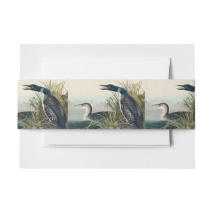 Bandeau De Faire-part Audubon Bird Loon Diver Classic